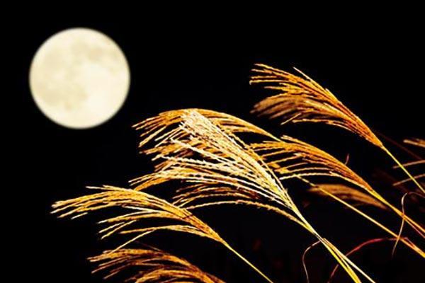 The Full Harvest Moon