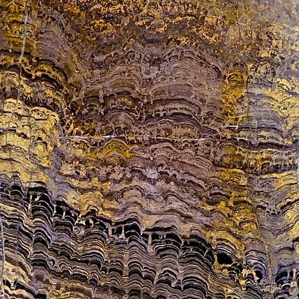 Stromatolite Healing Qualities