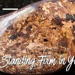 Bronzite for grounding and decision making